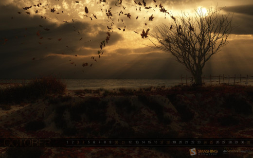 477916 (a): :1920x1200
